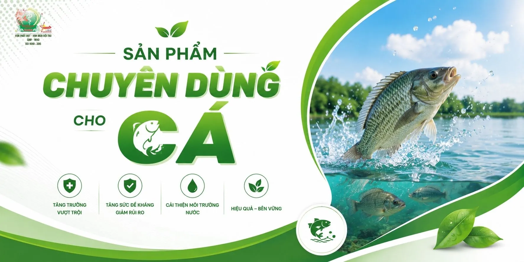 BÌA SP DÀNH CHO CÁ