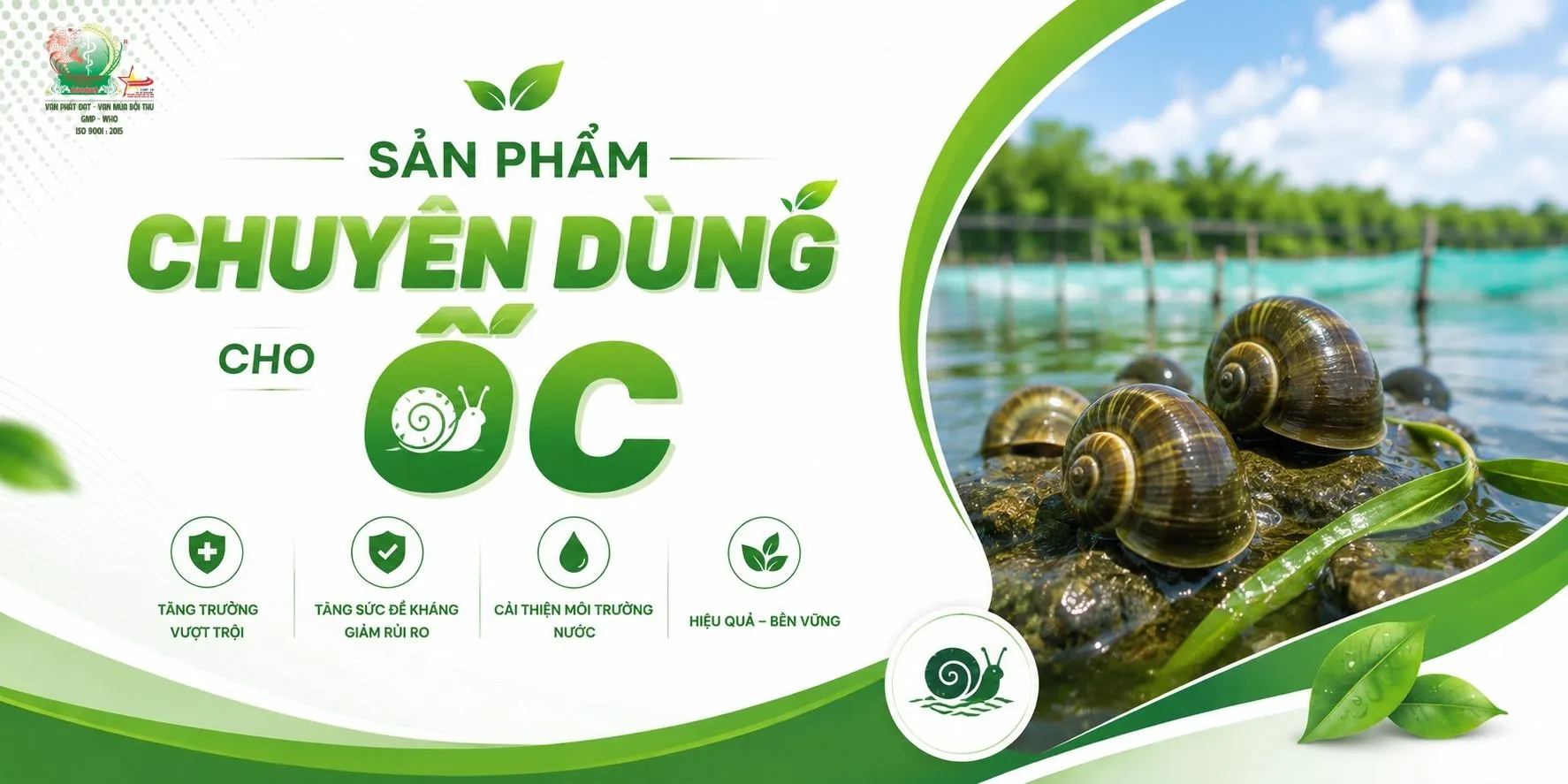 BÌA SP DÀNH CHO ỐC